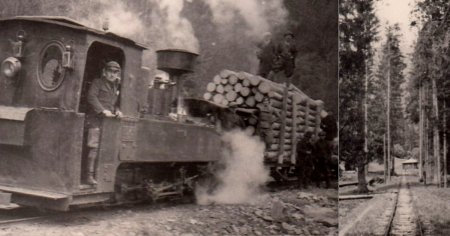 Secretele marii retele de cai ferate forestiere din <span style='background:#EDF514'>VALEA JIULUI</span>. Imagini rare cu liniile disparute FOTO