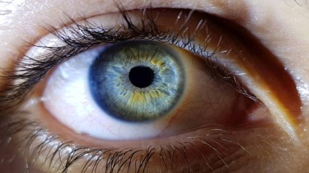 Picaturile de ochi <span style='background:#EDF514'>HOMEOPATE</span> sunt periculoase pentru ochi, avertizeaza Administratia pentru Alimente si Medicamente din SUA