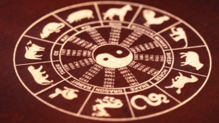 Horoscop chinezesc pentru 2024: <span style='background:#EDF514'>TIGRII</span> isi vor schimba locul de munca, Caii isi vor indeplini toate obiectivele