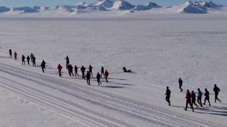 Maratonul extrem al Antarcticii: 42 de kilometri sub zero grade, printre peisaje uluitoare si vanturi puternice