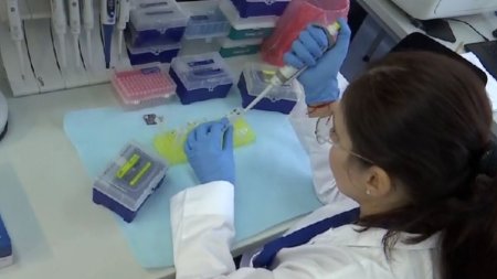 Analizele medicale efectuate in laboratoarele acreditate RENAR din Romania, recunoscute oriunde in Europa