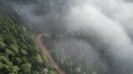 Romania, sub o patura de ceata. Traficul este oprit din cauza unui accident in Dambovita