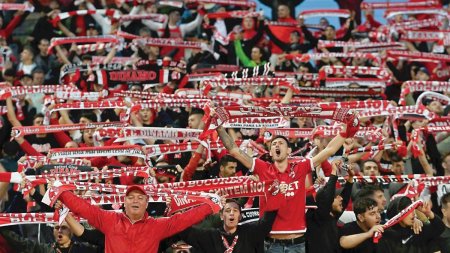 Superliga de fotbal: Codasele clasamentului se intalnesc la Botosani