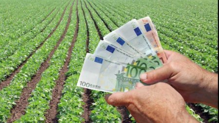 Subventie de 100 de euro pe hectar pentru fermieri