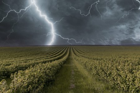Romania va fi lovita de furtuna PIA. Ce spun meteorologii?
