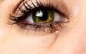 Studiu: Lacrimile omului contin o substanta care atenueaza agresivitatea