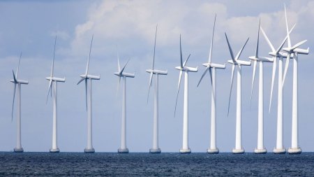 Romania, pas urias pentru productia de energie verde. Guvernul a aprobat proiectul privind energia eoliana offshore