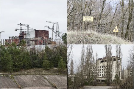 Aveau fetele umflate si rosii. Pun pariu ca nu mai sunt in viata. Ce s-a intamplat in Padurea Rosie de la Cernobil, unde rusii au sapat transee in timpul asediului de 45 de zile | FOTO