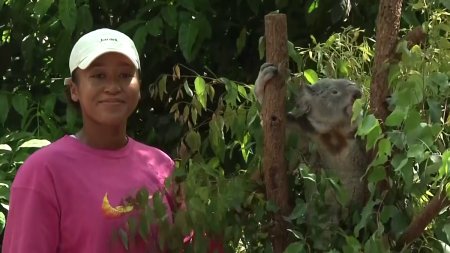 Naomi <span style='background:#EDF514'>OSAKA</span> revine in tenis la sase luni dupa ce-a nascut » Inainte de turneul de la Brisbane a vizitat ursii koala