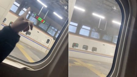 Momentul cutremurului de 7,5 din Japonia, filmat intr-o statie de tren