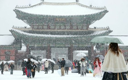 FOTO. In timp ce in Romania este vreme de primavara, in Coreea de Sud a cazut cea mai grea ninsoare din ultimii 40 de ani