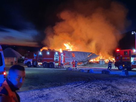 Dosarul Ferma Dacilor: Trei persoane au fost retinute: sunt administratori ai firmei / In incendiu au murit 8 oameni