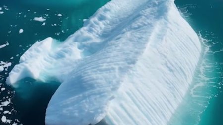 Fenomen rar surprins in apele Groenlandei. Un ghetar a fost filmat cand se rastoarna