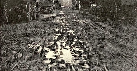Parfum in Belle Epoque. O mie de cai erau pe strazile Aradului la 1900. Orasul se lupta cu un miros persistent de balega