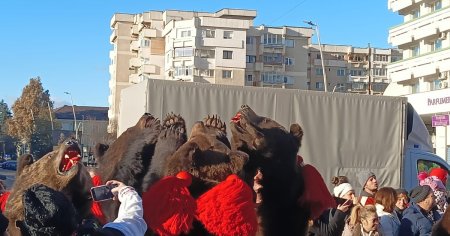 <span style='background:#EDF514'>DANSUL</span> cu ursii de la Bacau a ajuns vedeta in presa internationala: O traditie de milenii FOTO