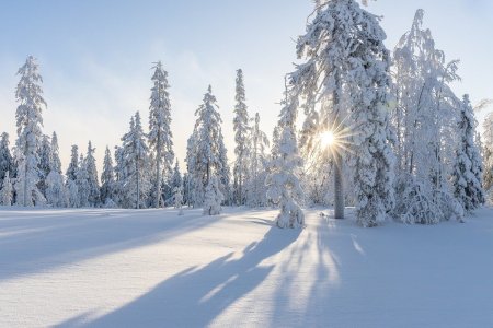 Val de frig extrem : -43 de grade Celsius in nordul Suediei
