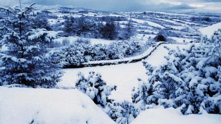 Se circula in conditii de iarna in nordul tarii: Ninge in Pasul Gutai si Pasul <span style='background:#EDF514'>PRISLOP</span>