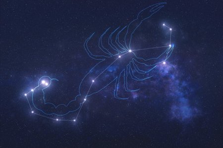 Horoscop zodia Scorpion in 2024. Eforturi mari si progres pe masura