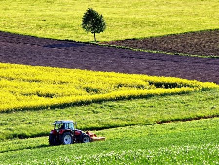 Cea mai mare subventie din agricultura romaneasca, de doua ori mai mare decat in Germania