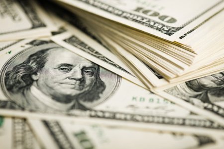 Un caine din Pennsylvania a mancat bancnote in valoare de 4.000 de dolari