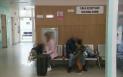 <span style='background:#EDF514'>CAMERA DE GARDA</span> a Spitalului Gomoiu din Bucuresti risca sa fie inchisa din lipsa de angajati