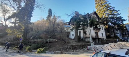Zeci de gospodarii au ramas fara curent electric in Sinaia, dupa ce vantul puternic a doborat stalpii de electricitate