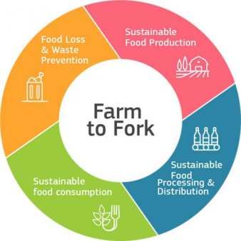 Tendinte in industria alimentara si in agrobusiness in 2024.Farm to fork devine emblema industriei