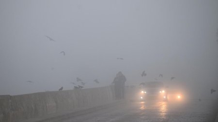 Cod galben de ceata in trei judete din Moldova. Iata lista localitatilor afectate