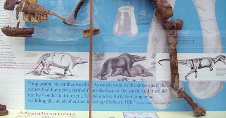 <span style='background:#EDF514'>DINOZAURI</span>i au devenit cunoscuti lumii acum 200 de ani. Care a fost prima specie pe care oamenii au vazut-o