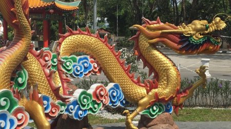 <span style='background:#EDF514'>HOROSCOPUL CHINEZESC</span> 2024. Afla ce semn esti in zodiacul chinezesc si ce nativi vor avea parte de noroc si dragoste in anul Dragonului de Lemn