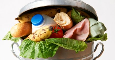 Cum combat risipa alimentara studentii romani la Stiintele Vietii. Resturi alimentare transformate in ingrediente