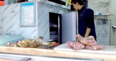 Vanzarea si consumul de carne de caine, interzise prin lege in Coreea de Sud