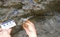 Fosile de dinozaur, unice in lume, descoperite in Hunedoara. Ce au constatat oamenii de stiinta | GALERIE FOTO