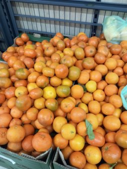 ANPC a oprit temporar de la functionare doua supermarketuri din Busteni