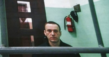 Aleksei Navalnii, plasat din nou la izolare, la scurt timp dupa transferul sau in temuta tabara de detentie Lupul polar