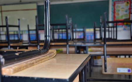 Ministerul Educatiei: Cursurile raman suspendate si miercuri in cateva scoli din judetele Braila, Iasi si Neamt