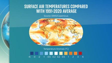 Anul 2023, record de caldura globala. Ce ne asteapta in 2024?