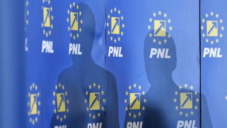 PNL pregateste strategia pentru alegeri. Liberalii organizeaza in martie, la Bucuresti, Congresul Popularilor Europeni