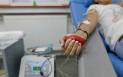 Record de donatori de sange la Centrul de Transfuzie <span style='background:#EDF514'>SANGUIN</span>a Arad. Conducerea, nevoita sa nu mai accepte donatori noi