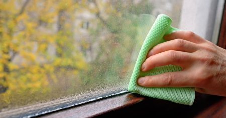 Top 3 metode care te ajuta sa scapi de umiditatea din casa. Sunt testate si dau rezultate garantate