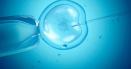 Cercetatorii au descoperit o metoda non-invaziva care ar putea prezice cu exactitate rezultatele fertilizarilor in vitro