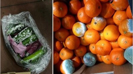 Legume si fructe mucegaite, gasite in depozite din Ilfov. Comisarii ANPC au aplicat amenzi de 15.000 de lei
