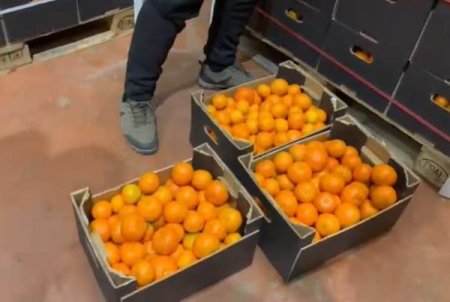 ANPC a aplicat amenzi de 15.000 lei in urma controalelor la patru depozite de legume-fructe