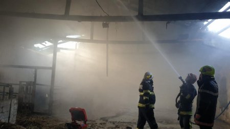 Incendiu de proportii la o societate agricola din Satu Mare
