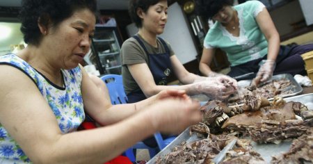 Relatia complicata a Coreei de Sud cu carnea de caine. De ce este subiectul unul sensibil
