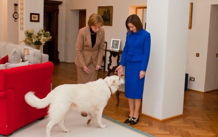 Maia Sandu, intalnire cu Majestatea Sa Margareta Custodele Coroanei. Gestul pe care l-a facut in timpul revederii | FOTO
