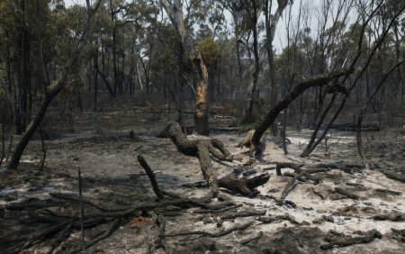 Pericol extrem de incendiu in Australia. Sute de pompieri lupta cu focul, iar autoritatile indeamna populatia sa fuga