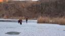 Lacul Zebil din Tulcea, transformat in patinoar de vremea rece