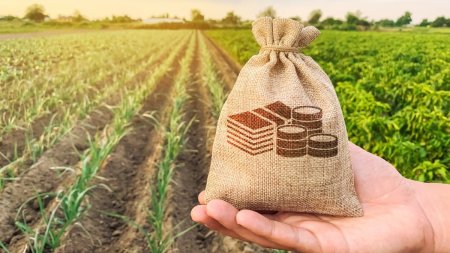 Ajutoare de la stat pentru fermierii romani | Anunt important facut de Ministerul Agriculturii si Dezvoltarii Rurale
