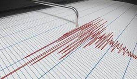 Cutremur cu magnitudinea 4,3 in judetul Vrancea
